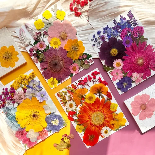 Miniatura 3 de 90 piezas de flores secas prensadas grandes para moldes de resina, flores naturales reales surtidas, pétalos de hojas para manualidades, joyas
