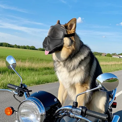 Miniatura 7 de Gafas de sol para perros de razas grandes, antirayos UV para protección facial completa, máscara para mascotas con agujeros transpirables