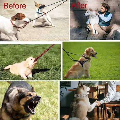 Miniatura 8 de Darkyazi Collar duradero de acero inoxidable ajustable para entrenamiento de mascotas para perros medianos y grandes (pequeño (paquete de 2)