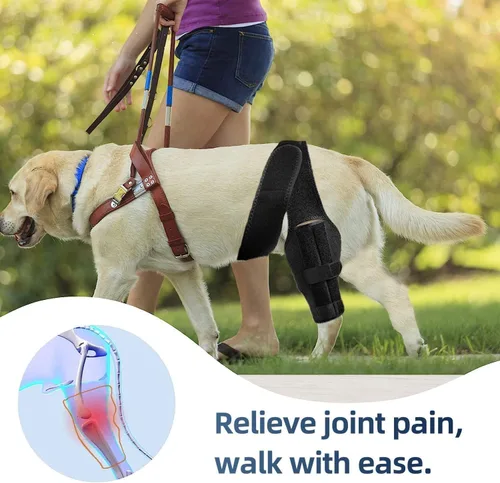 Miniatura 7 de Rodillera para perros para lesiones desgarradas de Acl y Ccl, soporte ajustable para patas traseras para perros con estabilizadores de metal