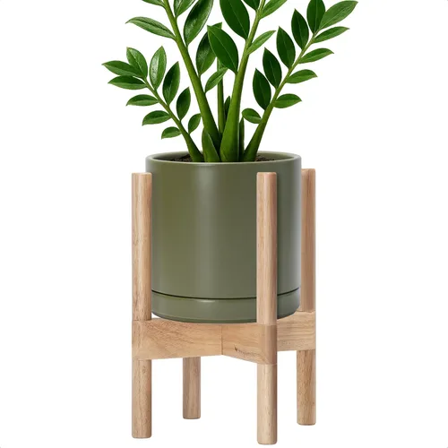 Miniatura 106 de D'vine Dev Maceta de cerámica con soporte de ébano – Maceta redonda moderna de 8 pulgadas con soporte para maceta de madera, color negro, 55-B-M-2