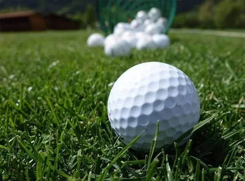 Miniatura 4 de Lesco Double Eagle - Mezcla de semillas de riegrass perenne (1 libra)