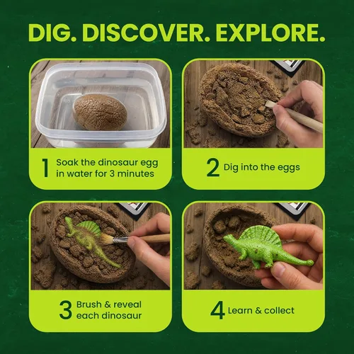 Miniatura 5 de Nature Gear Kit de excavación de dinosaurios para niños, kit de excavación de huevos de dinosaurio, kit educativo de excavación de huevos con 12