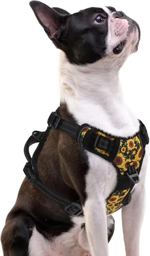 Miniatura 29 de PUPTECK Arnés para perro sin tirones para perros grandes, arnés para perro ajustable reflectante con mango de fácil control, arnés para mascotas