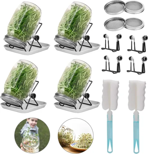Miniatura 9 de Lulonpon Juego de 2 tarros para cultivar brotes, tarros de boca ancha de un cuarto de galón con tapas de germinación de pantalla de acero