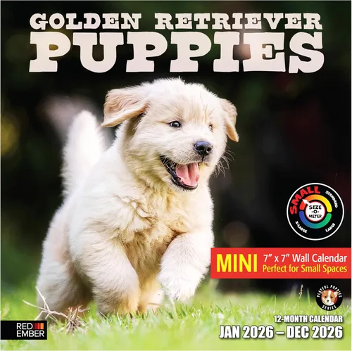 Miniatura 10 de RED EMBER Golden Retriever Puppies - Calendario de pared 2026 de 12 meses 12 x 24 pulgadas abierto Papel grueso y resistente Regalo