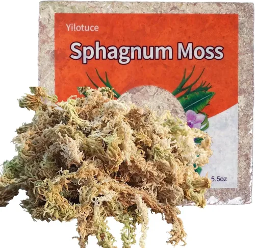 Miniatura 8 de Musgo esfagnum comprimido de 3.2 oz para plantas, musgo esfagnum prémium cuidadosamente seleccionado para orquídeas