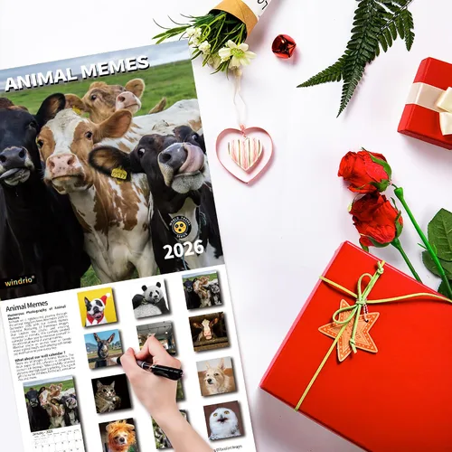 Miniatura 5 de Calendario de pared 2026, Calendario divertido 2026, noviembre de 2025 - diciembre de 2026, calendario de pared con memes divertidos de animales, 12