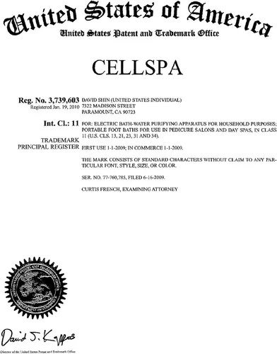 Cell Spa®, pantalla LCD digital desintoxicante iónico Aqua Foot Bath Spa Chi Cleanse Fir Belt - Dos veces potente