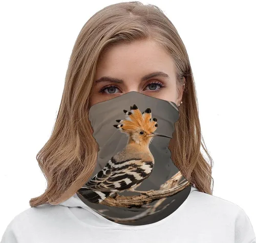 Miniatura 5 de Hoopoe Neck Gaiter Breathable & Moisture-Wicking Face Mask Bandana Balaclava Sun Protection Face Cover Scarf Lightweight Seamless Design for Outdoor
