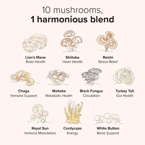 Miniatura 4 de Gomitas de hongos Harmony Blend Suplemento diario de hongos para adultos Complejo de hongos 10 en 1: melena de león, reishi, cordyceps, chaga y más