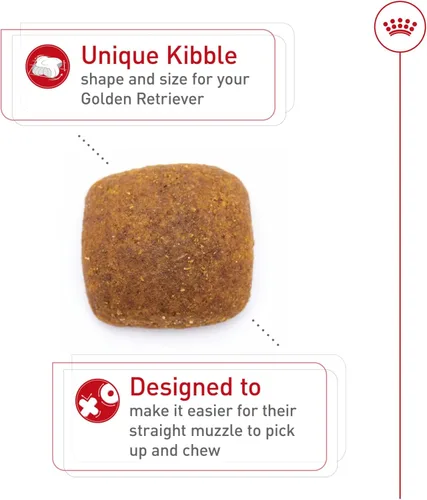 Miniatura 2 de Royal Canin Breed Health Nutrition Golden Retriever - Alimento seco para perros adultos, bolsa de 5 libras