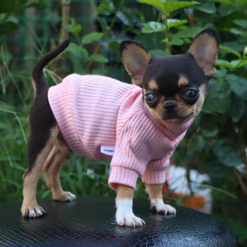 Miniatura 5 de LOPHIPETS Suéteres de cuello alto para perros pequeños para Chihuahua Teacup Yorkie Cachorro Ropa para Gatos - Rosa Claro Brillante/XXS
