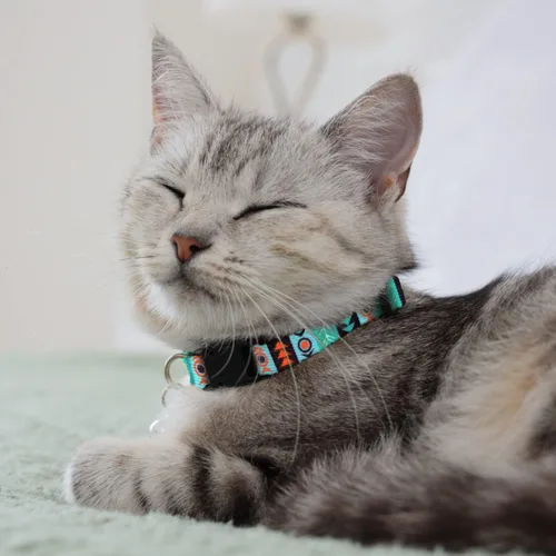 Miniatura 4 de CollarDirect Cat Collar Breakaway with Removable Bell Set of 2 PCS Varios