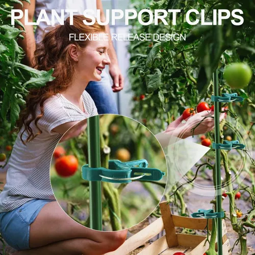 Miniatura 5 de Yinghezu 120 clips de soporte para plantas, flores y vides, clips de soporte para plantas de tomate de jardín para apoyar tallos, enredaderas
