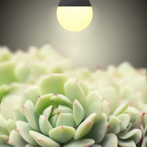 Miniatura 2 de Paquete de 4 bombillas LED de cultivo A19, bombilla de espectro completo para plantas, bombilla de cultivo E26 de 9 W que reemplaza hasta 80 W, luz
