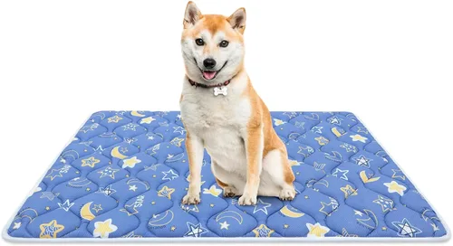 Miniatura 11 de Bubble bear - Tapete para jaula de perro ultra suave, lavable y antideslizante para perros pequeños, medianos y grandes, de color oscuro