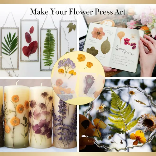 Miniatura 5 de Aboofx Kit de prensa de flores para marcapáginas de diario, 10 x 10 pulgadas, kit de prensado de flores de madera de 10 capas con bolsas