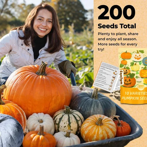 Miniatura 6 de Más de 200 semillas de calabaza para plantar, 10 variedades Jack Be Little, Jack O Lantern, pastel de azúcar, jarrahdale azul, Baby Boo, ideal