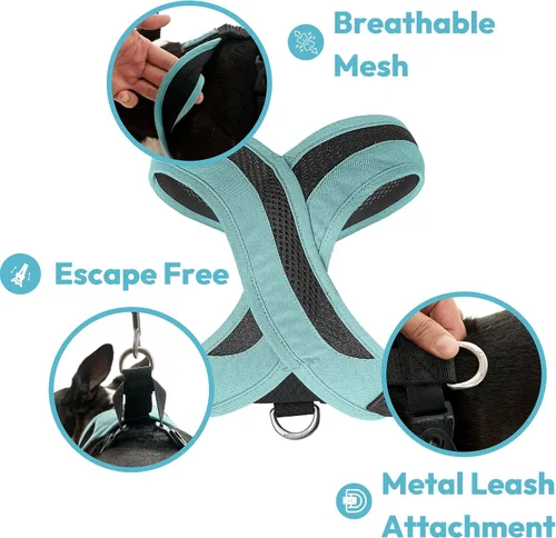 Miniatura 3 de Gooby Arnés para Perro Comfort X - Arnés para Perro de Cabeza Adentro para Perros Pequeños y Medianos - Libre de Escapadas y Ahogo - Malla Portland