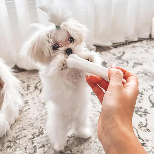 Miniatura 2 de Nylabone Nuevo Kit de iniciación para cachorros, juguetes masticables y golosinas naturales para masticar para cachorros, juguetes para la dentición