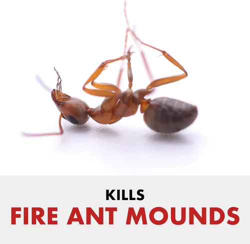 Miniatura 2 de Spectracide Fire Ant Shield Gránulos de Protección para Jardín - 10 libras, Paquete de 4