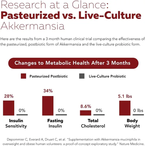 Miniatura 7 de AK-Postbio: Akkermansia Probiotic 30 mil millones de TFU - Fuerza máxima, dosis clínicamente validada y cepa patentada - Forma pasteurizada