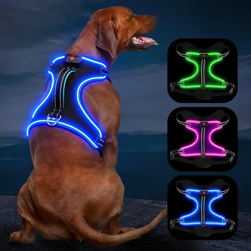 Miniatura 6 de Arnés para perro iluminado con batería pequeño