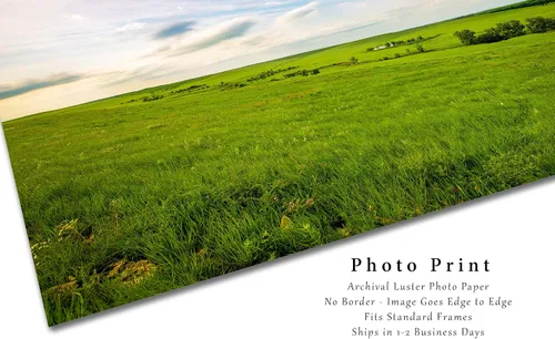 Miniatura 2 de Great Plains Photography Print (Not Framed) Picture of Tallgrass Prairie on Spring Day in the Kansas Flint Hills Prairie Wall Art Nature Decor