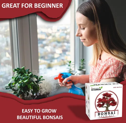 Miniatura 5 de Kit de árbol bonsái – Cultiva 5 especies de árbol bonsái con nuestro kit de plantas todo en uno: macetas de bonsái y pellets de turba, incluyendo un