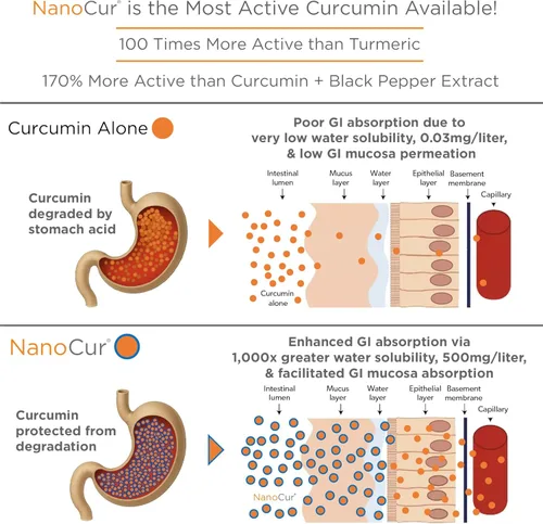 Miniatura 3 de Curcumina de cúrcuma: 100 veces más activa que la cúrcuma, 170% más activa que la curcumina + extracto de pimienta negra. Apoyo