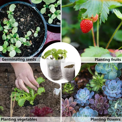 Miniatura 4 de 200 bolsas de cultivo para vivero, bolsa de cultivo pequeña de 5.8 x 5 pulgadas para plantas, macetas de tela, papa, flor, tomate para principiantes