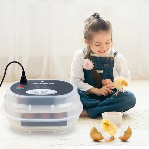 Miniatura 7 de HBlife Incubadora digital de huevos para incubar 9-12 huevos de pollo, codorniz y pato, con giro de huevos completamente automático y pantalla