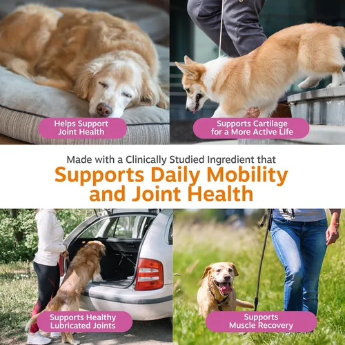 Miniatura 3 de Zesty Paws Mobility Bites Suplemento para articulaciones de perro, masticables de cadera y articulaciones, productos para mascotas con glucosamina