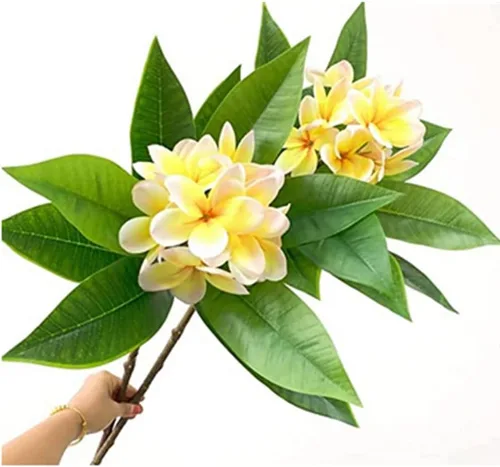 OUKEYI Flores artificiales Frangipani de 35.5 pulgadas, realistas al tacto, flores artificiales de plumeria para el hogar, fiesta, boda, ramo de