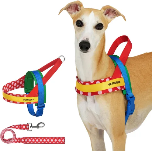 VETRESKA MoMA Arnés para Perro para Perros Medianos y Grandes, Conjunto de Arnés y Correa Easy Walk para Perro, Arnés Tipo Chaleco Sin Tirones para