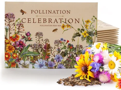 Bentley Pollination Celebration - Paquetes de semillas de flores silvestres, sin OGM, mezcla de flores sin recubrimiento para plantar, hermoso