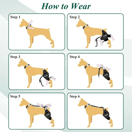 Miniatura 7 de Rodillera para perros – Soporte para problemas de ligamento cruzado anterior y articulaciones de rodilla con terapia de luz infrarroja roja, alivio