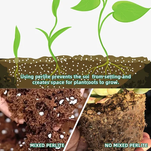 Miniatura 2 de Perlita de 9 cuartos para suelo vegetal: enmienda para tierra de macetas, mejora el drenaje y la aireación del suelo, mejor para el crecimiento