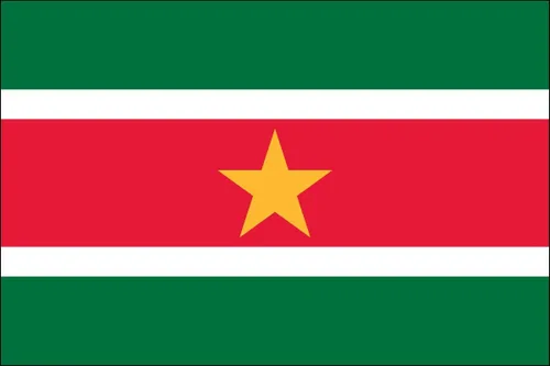Miniatura 224 de Bandera de poliéster de Venezuela de 3 x 5 para interiores o exteriores, más de 200 banderas internacionales de 3 x 5 pies (35.4 x 59.1 in)