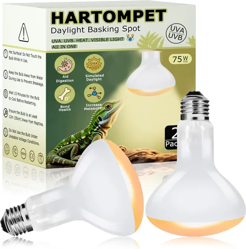 Miniatura 11 de Bombillas de lámpara de calor de reptiles de 60 W, luz de punto de calentamiento UVA de 2.5 pulgadas para dragón barbudo, lagarto, tortuga, pollitos