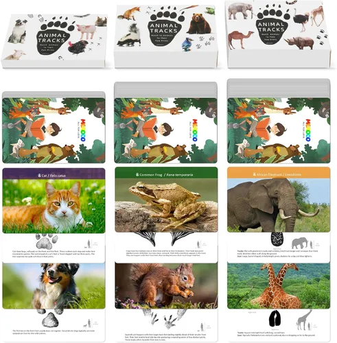 MEROCO Juego de cartas de pistas de animales de safari, juegos de animales de granja, juego de pistas de animales, juguetes educativos de