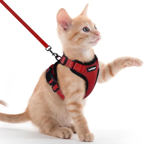 Miniatura 87 de rabbitgoo Juego de arnés y correa para gatos, arnés a prueba de escapes para paseos seguros al aire libre, chaleco suave transpirable ajustable