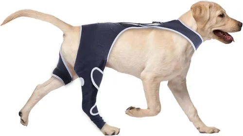 Manga de pierna de perro para perros grandes, heridas que evitan lamer la recuperación del perro, manga de protección de la pierna trasera del