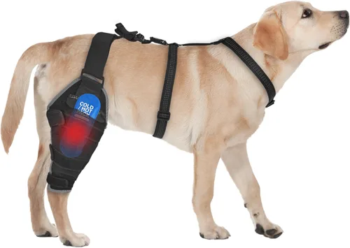 Miniatura 9 de Rodillera para perro para pierna trasera, ajustable, transpirable, con paquetes de gel caliente y frío, soporta perros grandes y medianos