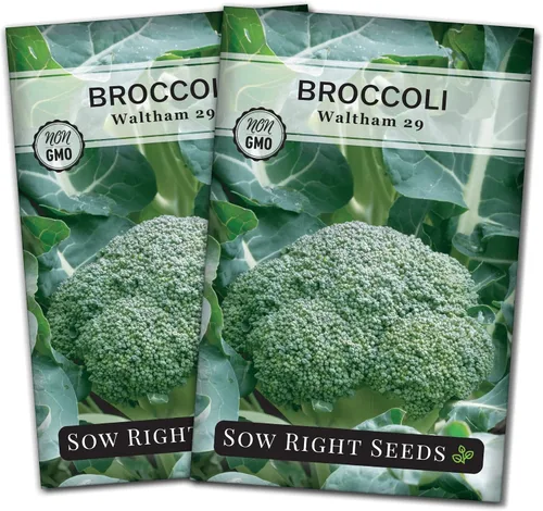 Miniatura 7 de Sow Right Seeds - Waltham 29 semillas de brócoli para plantar - Paquete de reliquia sin OMG con instrucciones para plantar un huerto en el hogar al