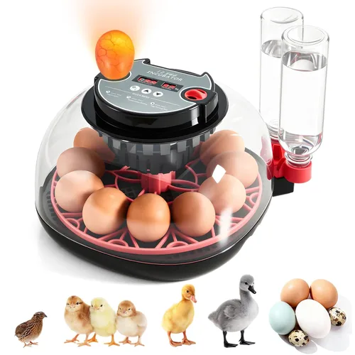 Incubadoras para incubar huevos - Capacidad de 12 huevos, incubadora de huevos con giro automático de huevos y control de temperatura, incubadora