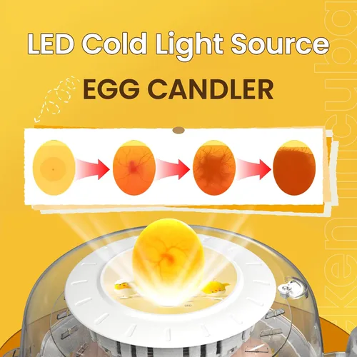 Miniatura 4 de 18 incubadoras de huevos para incubar huevos, volteador automático de huevos y probador de velas de huevos, vista de 360 grados, incubadora