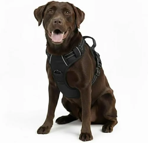 Miniatura 21 de Arnés para perro sin tirones, chaleco táctico verde XL, arnés extra grande de nailon 900D resistente con asas de fácil control, chaleco acolchado