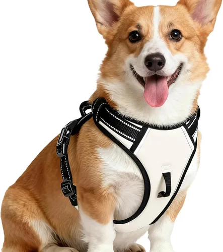 Miniatura 35 de Arnés para perro sin tirones, chaleco reflectante ajustable y acolchado para mascotas con asa de fácil control, fácil de llevar con nudo elegante